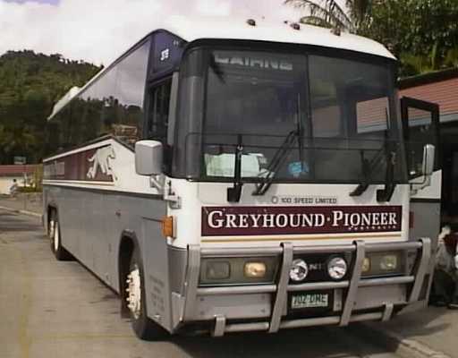 Greyhound Pioneer Denning Landseer 702DME